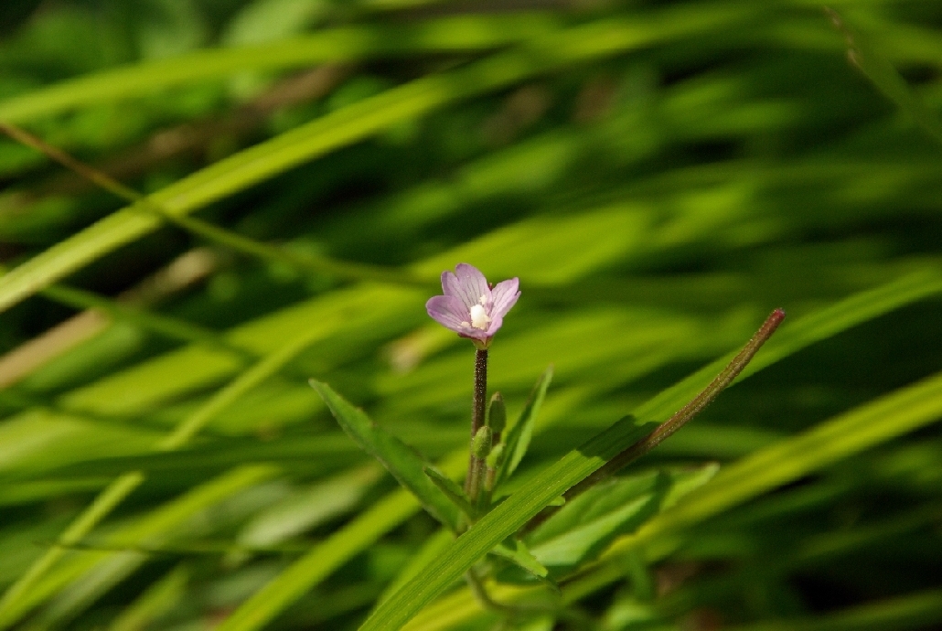 b0062024_7471650.jpg