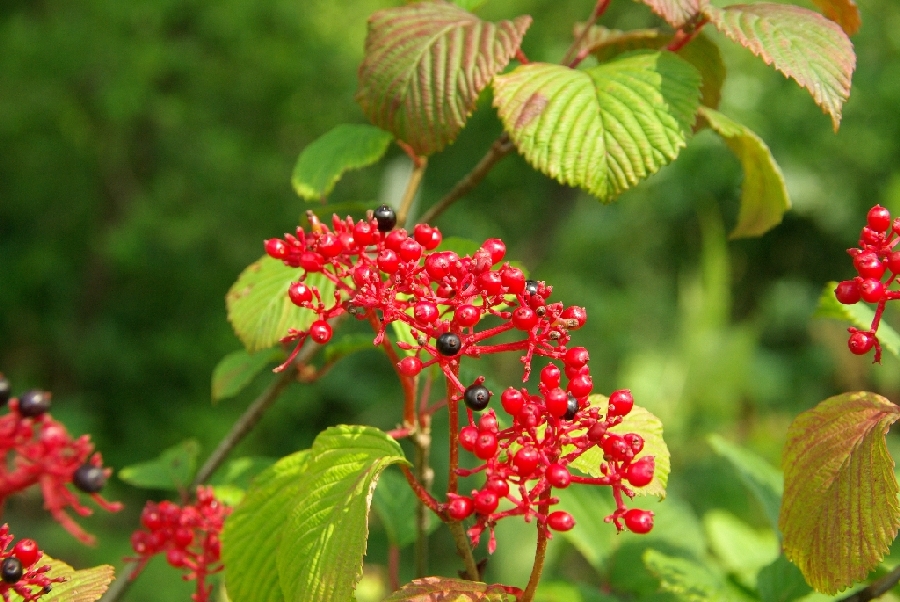 b0062024_751210.jpg