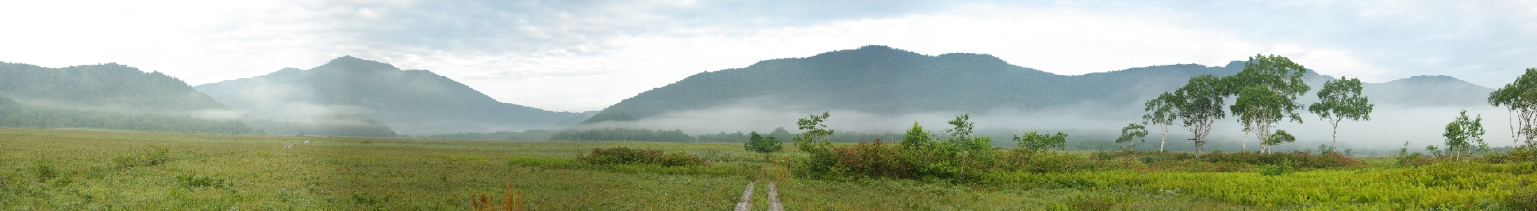 b0062024_784342.jpg