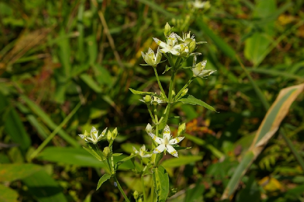 b0062024_811925.jpg