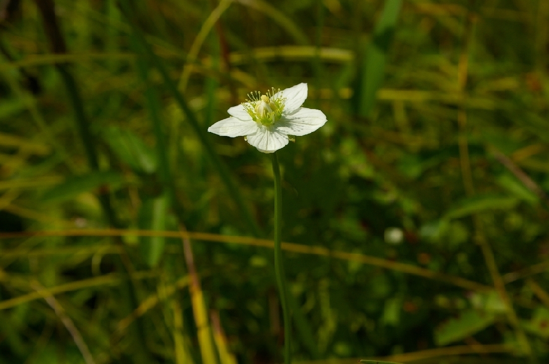 b0062024_835665.jpg