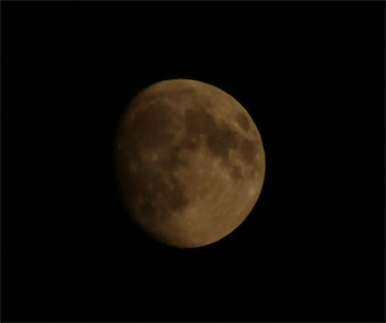 d0002224_22323299.gif