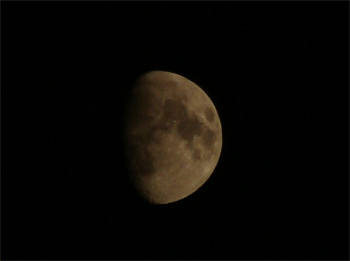 d0002224_7103940.gif
