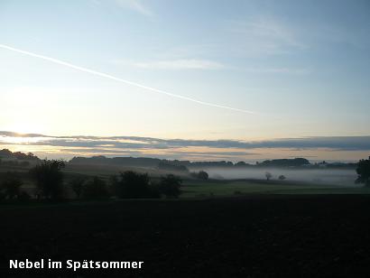 d0144726_39655.jpg