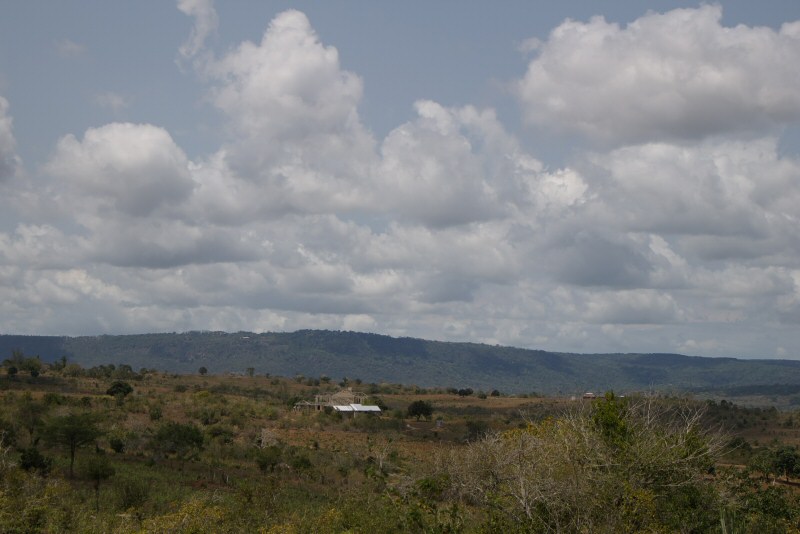 d0032931_20305576.jpg