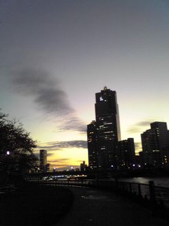 c0177332_21165229.jpg