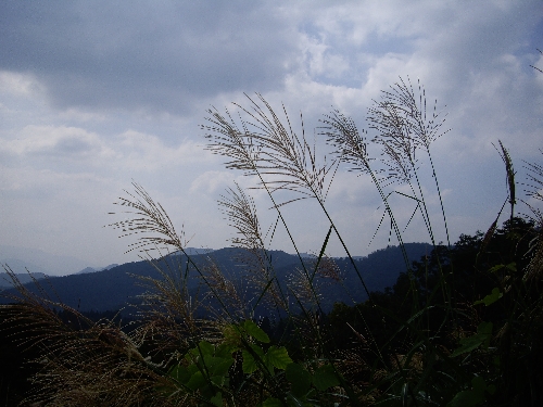 f0040734_14224632.jpg