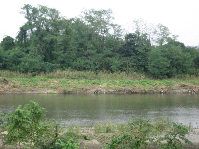 b0088037_10554596.jpg