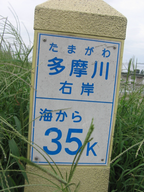 b0088037_114611.jpg