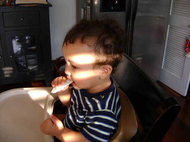 d0118438_151713100.jpg