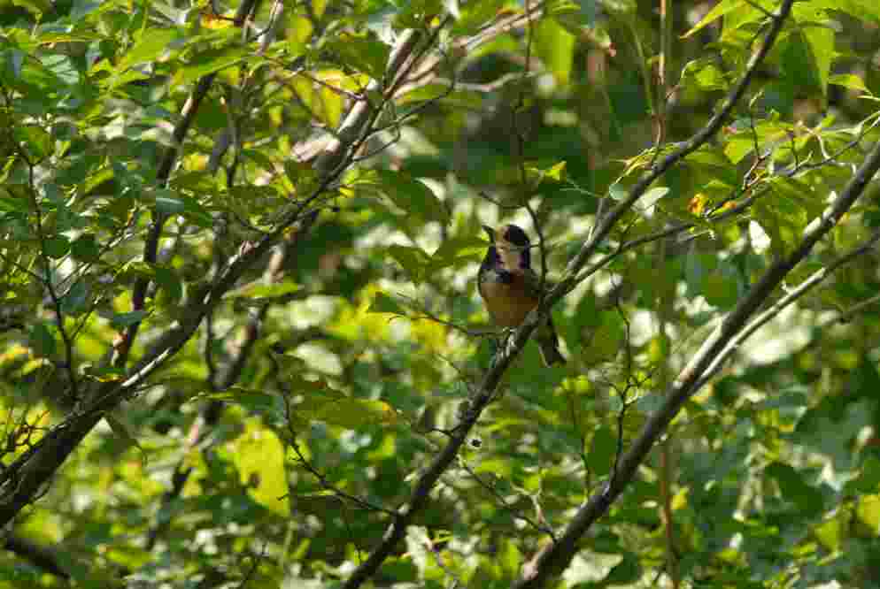 c0172139_9445041.jpg