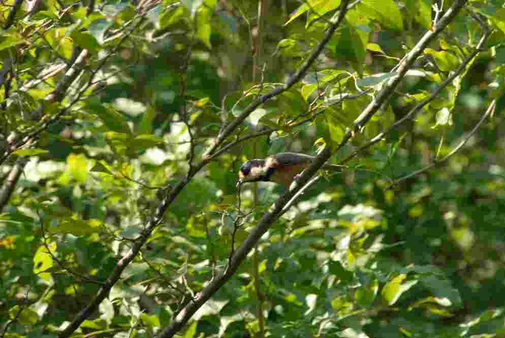 c0172139_946174.jpg
