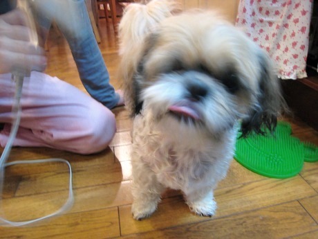 c0043751_0255750.jpg