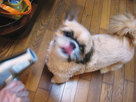 c0043751_0265220.jpg