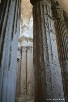 f0077159_18354449.jpg
