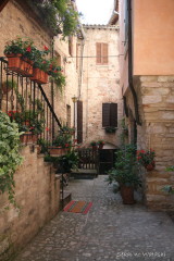 f0077159_2138635.jpg