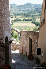 f0077159_21391494.jpg