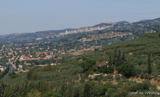 f0077159_21424471.jpg