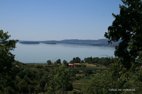 f0077159_21442169.jpg