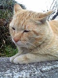 c0047860_21253674.jpg