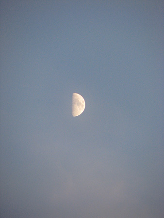 c0104371_10302532.jpg