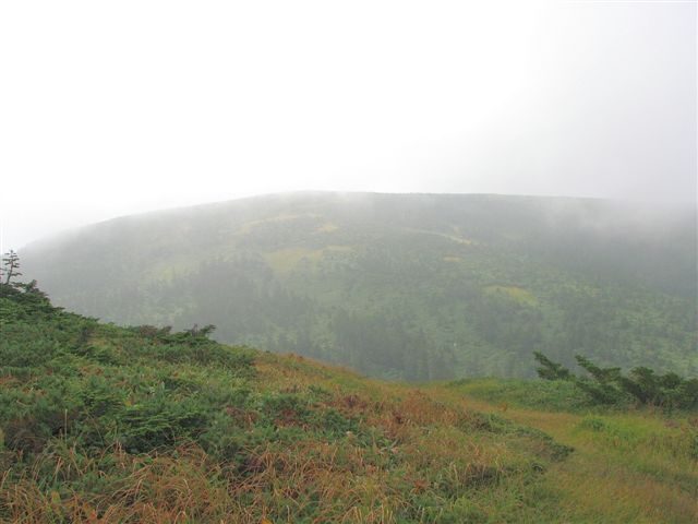 f0174373_95886.jpg