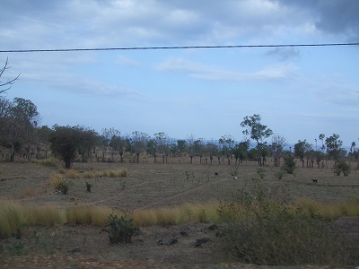 b0101284_2053321.jpg