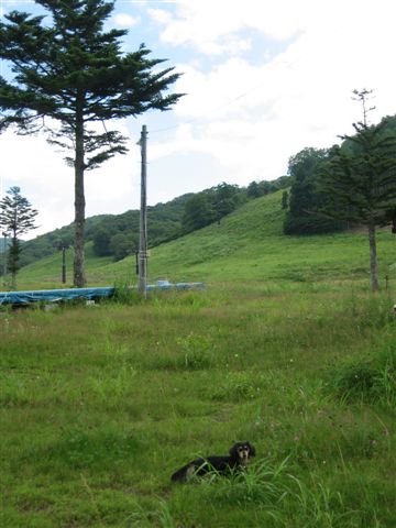 d0143284_014091.jpg