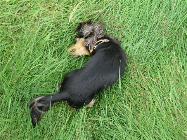 d0143284_065243.jpg