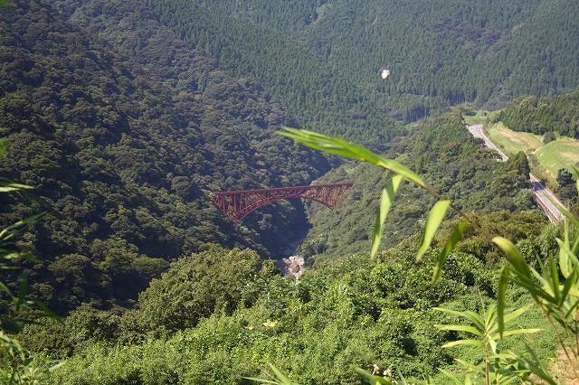 d0136889_23344046.jpg