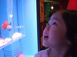 a0079990_12371313.jpg
