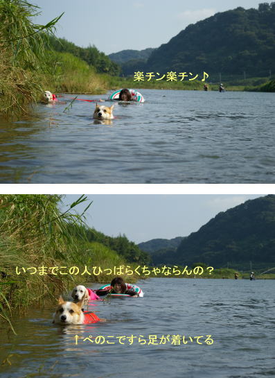 b0154393_17165777.jpg