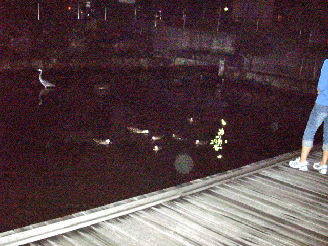 c0138198_19305857.jpg