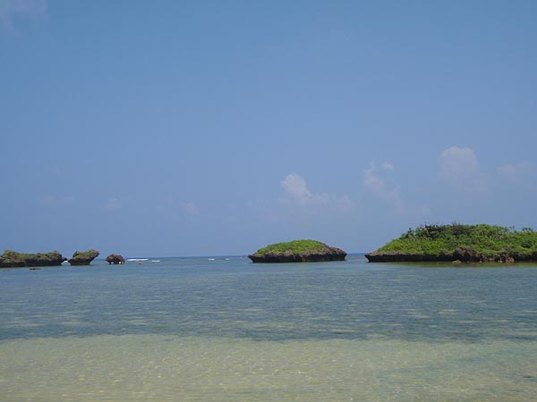 e0049101_2316327.jpg