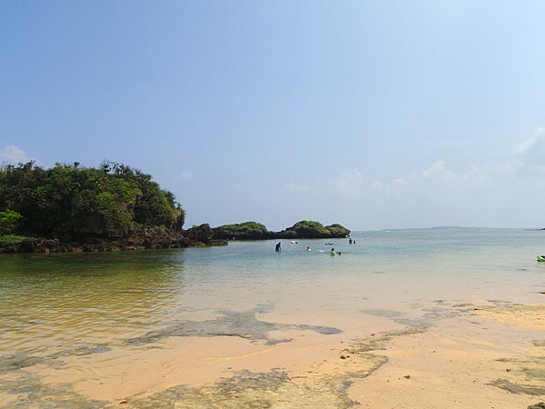 e0049101_23175130.jpg