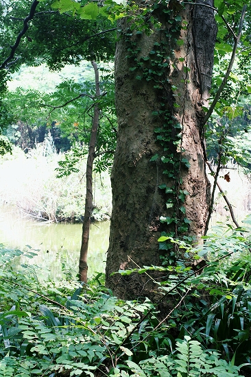 d0112003_1459486.jpg