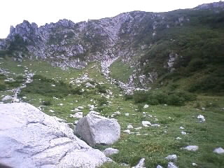 b0021311_221396.jpg