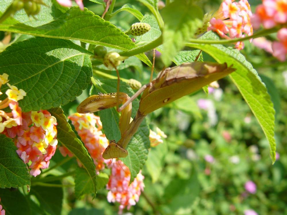 c0062511_21334231.jpg