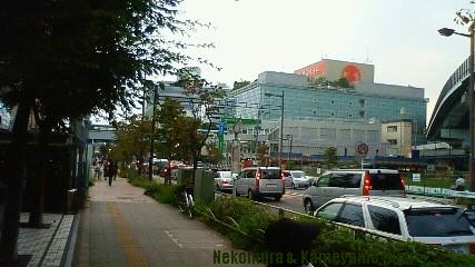 f0167314_2342491.jpg