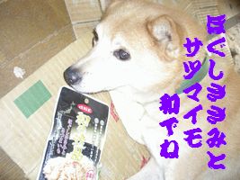 b0085815_19105165.jpg