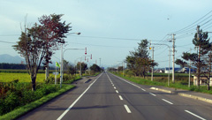 a0022216_13383990.jpg