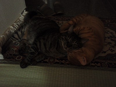 c0145016_040847.jpg