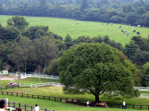 a0037322_22242699.jpg