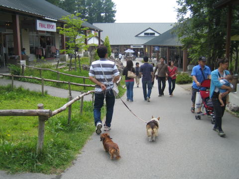 a0037322_22271846.jpg