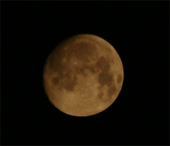 d0002224_23492074.gif