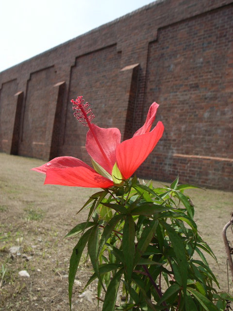d0105133_22363296.jpg