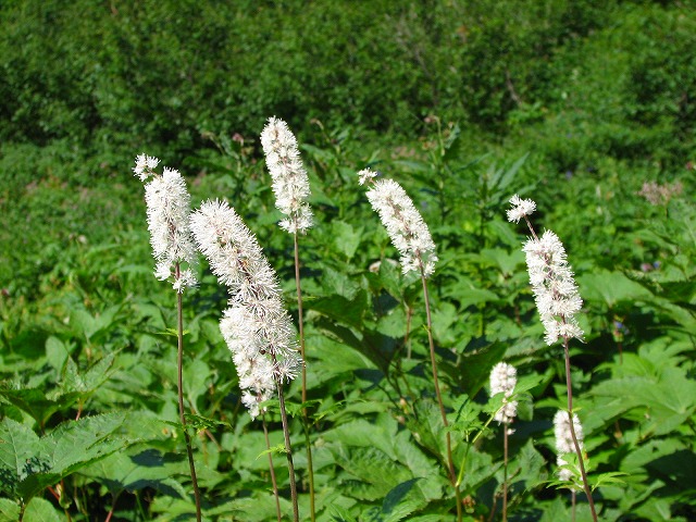 b0097836_1613231.jpg