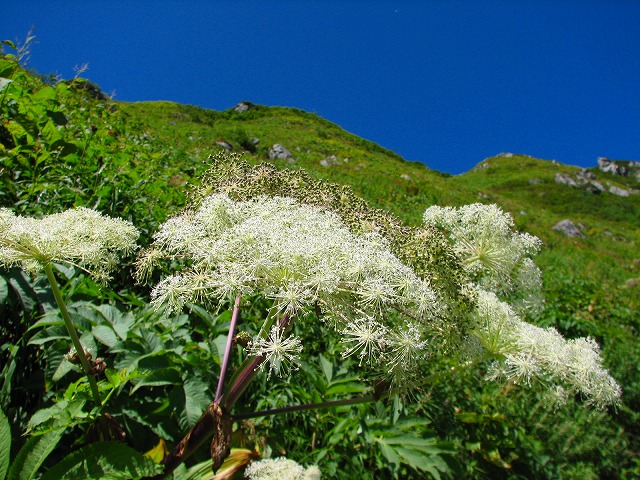b0097836_16203991.jpg