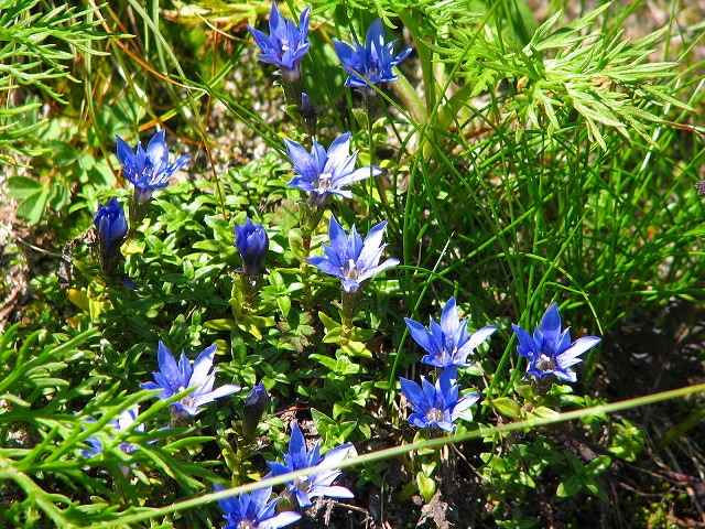 b0097836_16214920.jpg