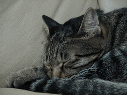 c0136736_19294287.gif